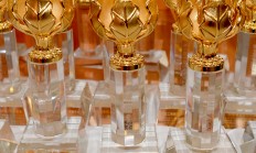 关于捷克代表团喜获殊荣，喜获奖杯的信息