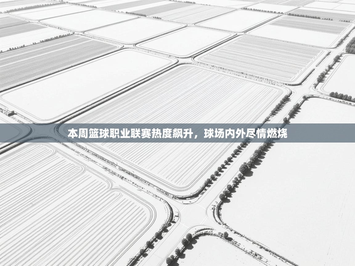 本周篮球职业联赛热度飙升，球场内外尽情燃烧  第1张