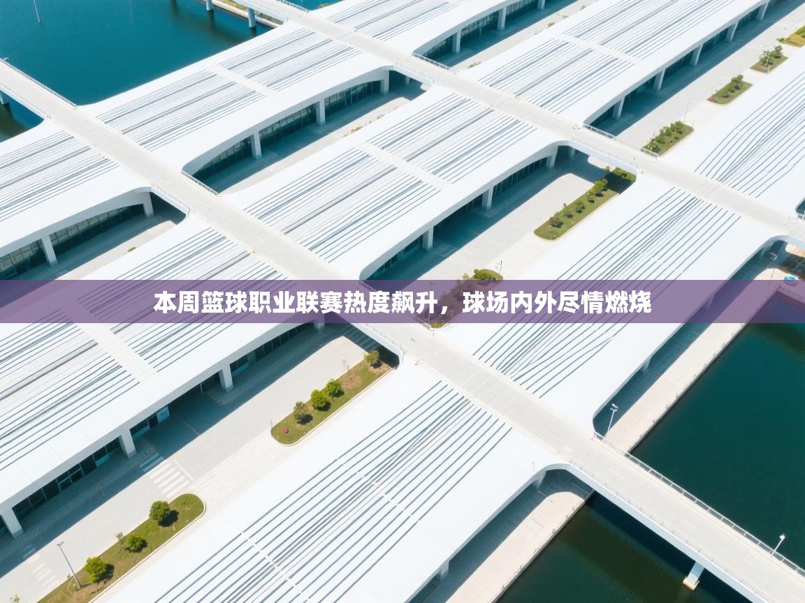 本周篮球职业联赛热度飙升，球场内外尽情燃烧  第2张