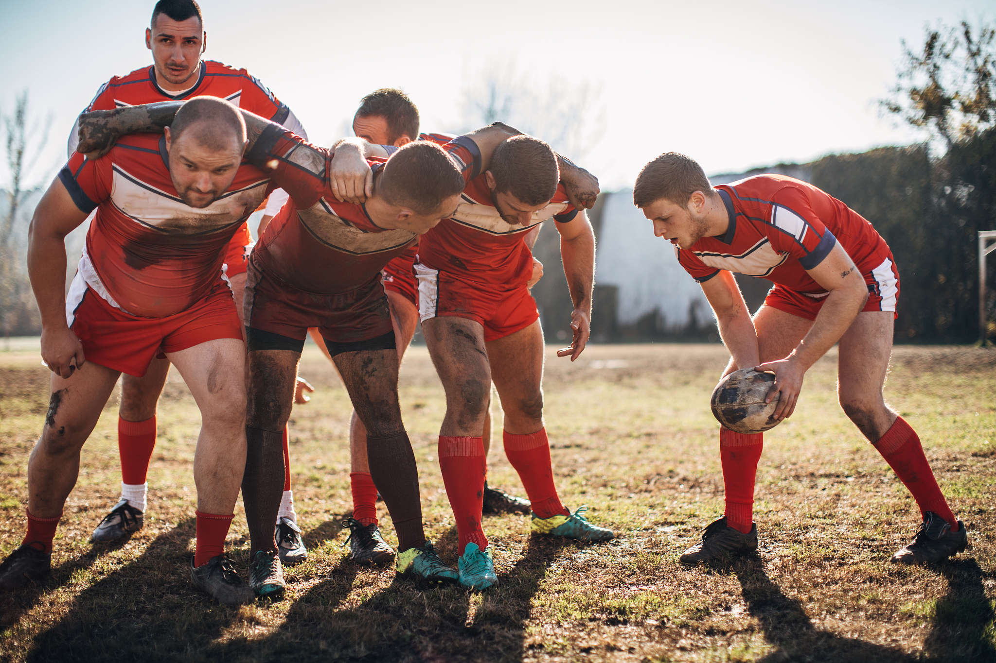 包含球队展现强大实力,备战迎接挑战,士气高昂的词条 包含球队展现强大实力,备战迎接挑战,士气高昂的词条
